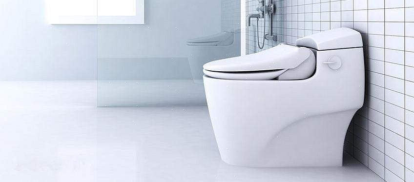 Considérez le siège de toilette bidet comme un compromis entre un bidet à jet vertical