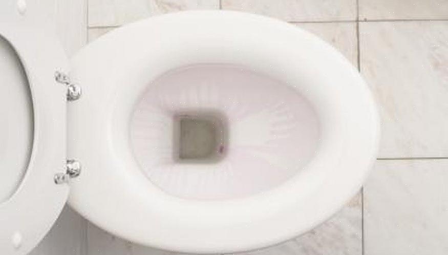 Une fissure de cuvette de toilette au-dessus du niveau de l'eau devra être surveillée