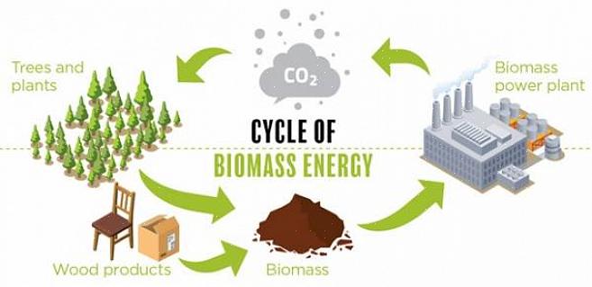 Le combustible biomasse peut être converti directement en énergie thermique par combustion