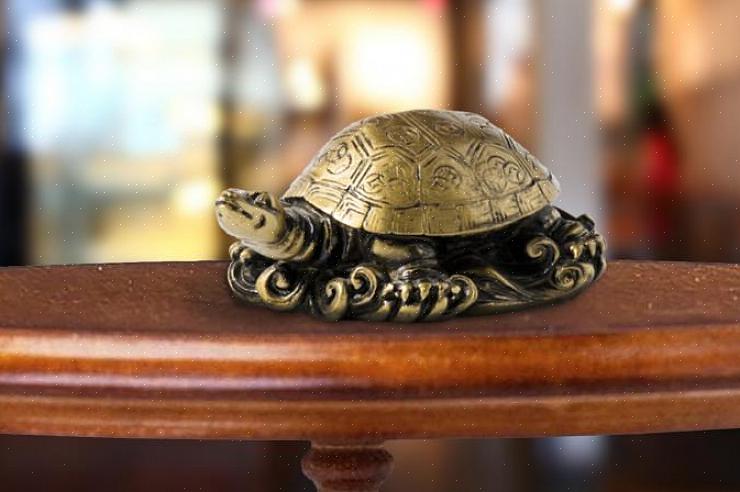 La tortue est un symbole céleste du feng shui qui représente la stabilité
