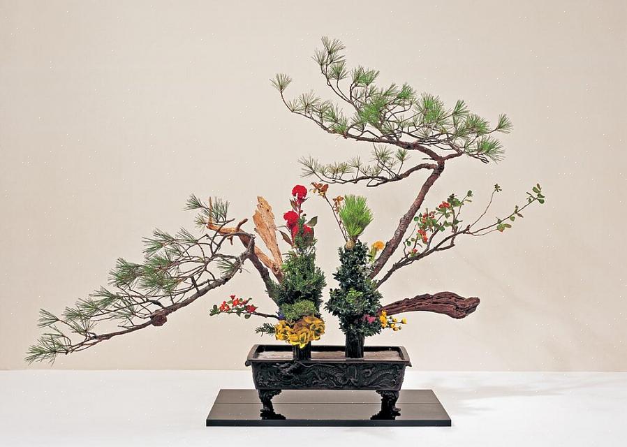 L'art de l'ikebana peut faire des convertis des personnes qui pensaient autrefois que les compositions