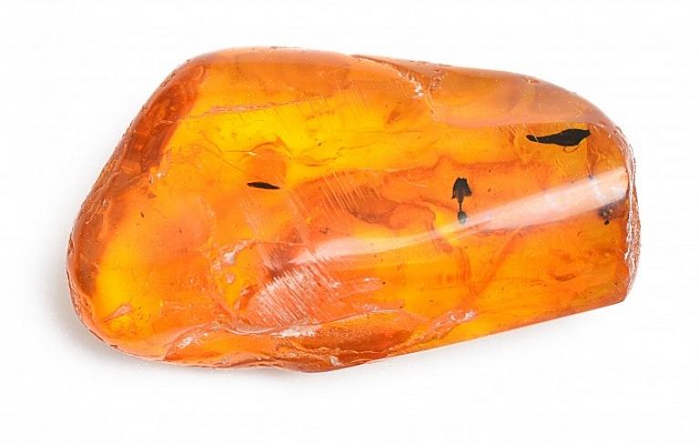 Les morceaux d'ambre les plus précieux sont beaucoup plus anciens que cela