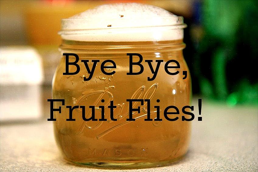 Vous pouvez également piéger les mouches des fruits en plaçant un morceau de fruit trop mûr dans un sac