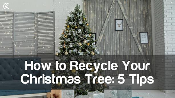 Coupez de longues branches de votre arbre de Noël avec des élagueurs ou des sécateurs