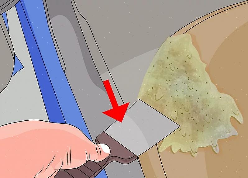 Aperçu Les taches de vomissement sont parmi les pires choses que vous devrez jamais enlever de votre tapis