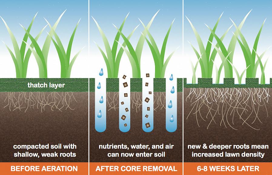 L'aération centrale réduit le compactage du sol