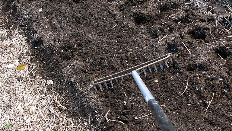 L'ajout de matière organique est sans aucun doute le meilleur moyen d'améliorer votre sol
