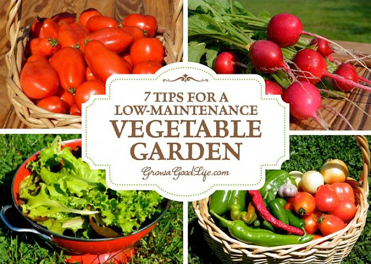La plupart de ces légumes peuvent être cultivés dans des conteneurs