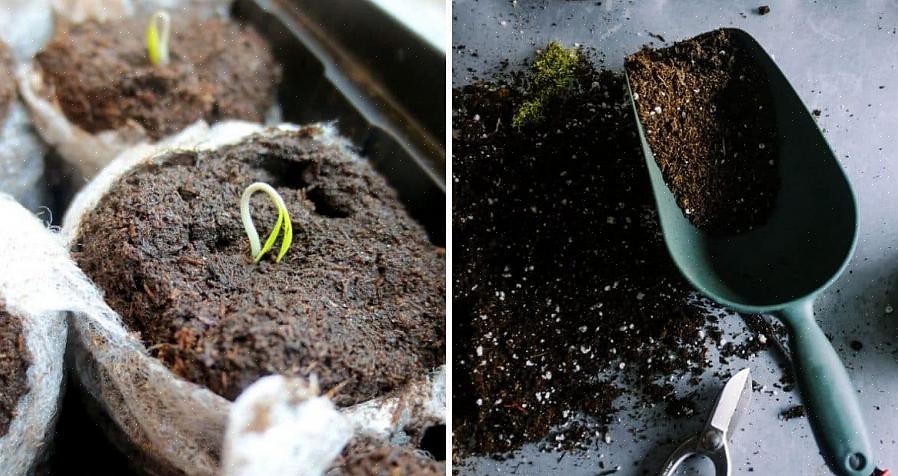 Le sable horticole est la même chose que le sable tranchant