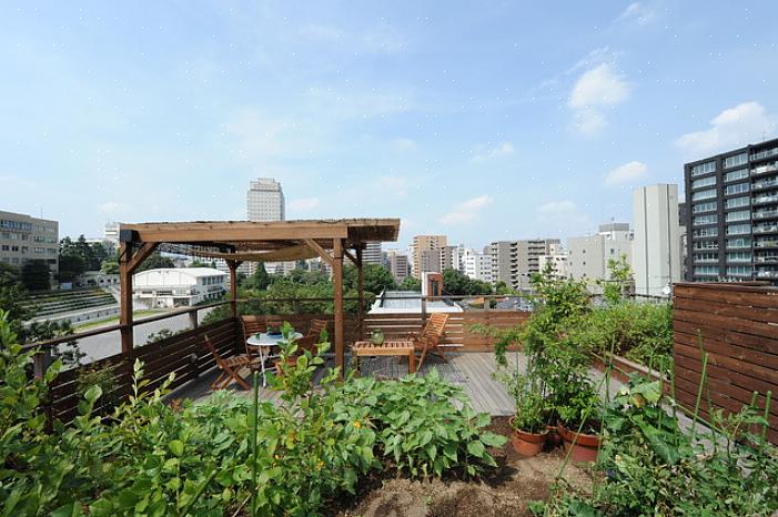Les jardins sur les toits peuvent être une oasis dans un cadre urbain autrement construit