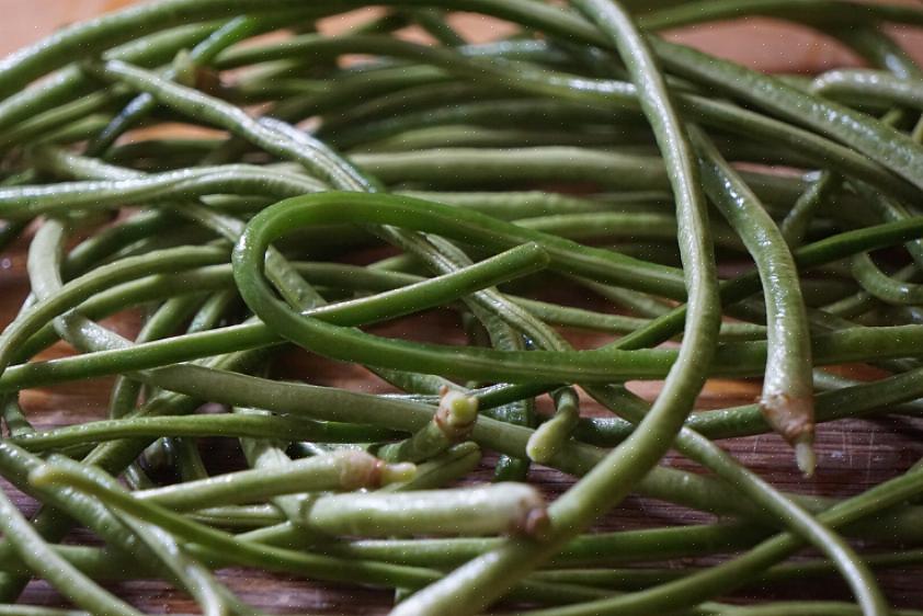 Ils sont le haricot traditionnellement utilisé pour le plat de haricots verts chinois proposé