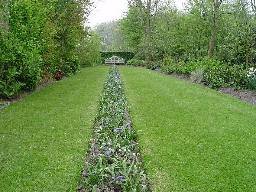 Le son n'est pas un élément souvent pris en compte lors de la conception d'un jardin