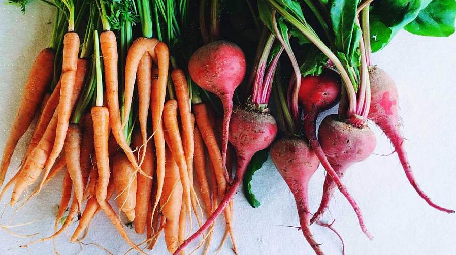 En particulier les légumes-racines plus longs comme les carottes