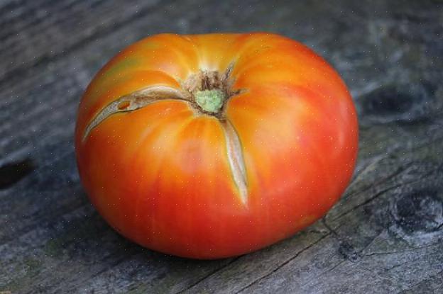Csikos botermo - Voici une tomate en grappe douce qui a de jolies rayures jaunes sur la peau rouge