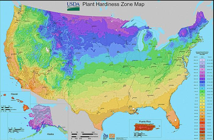 Si vous n'êtes pas sûr des plantes qui prospéreront dans votre région de Caroline du Nord