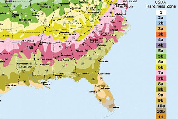 Zones de rusticité USDA de Floride