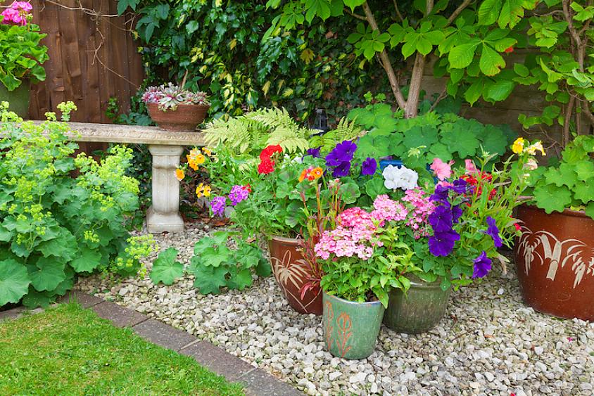 Un jardin d'ombre peut être une oasis merveilleusement fraîche