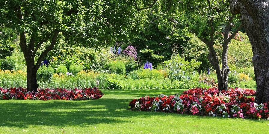 Si vous pensez toujours que la seule chose qui fleurit à l'ombre est les Impatiens