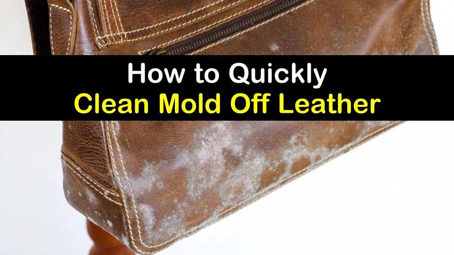 Nettoyez soigneusement le cuir séché avec un nettoyant pour cuir ou un savon très doux