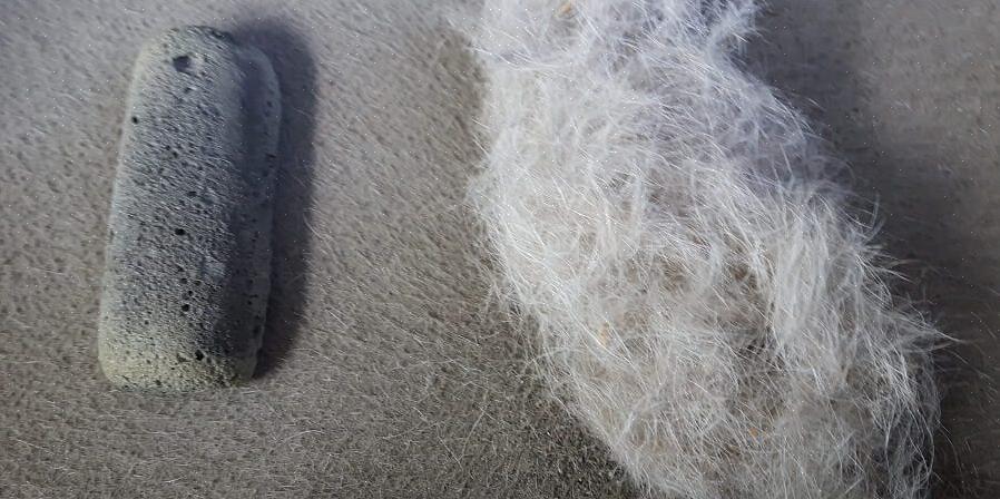 Utilisez une brosse à linge ou un rouleau à peluches collant pour enlever la fourrure restante