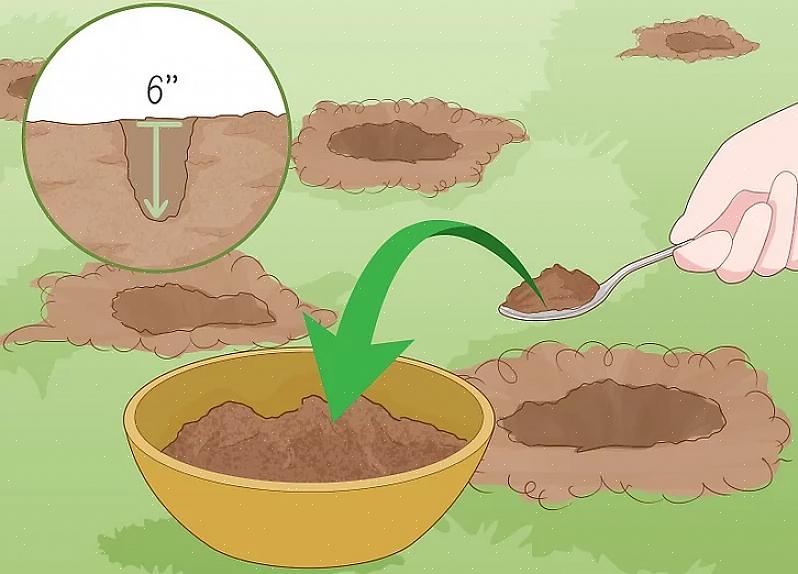 La plupart des plantes peuvent s'adapter à un pH du sol compris entre 6