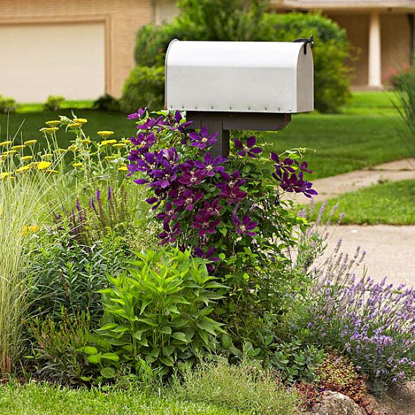 Un jardin de boîtes aux lettres peut croître en taille