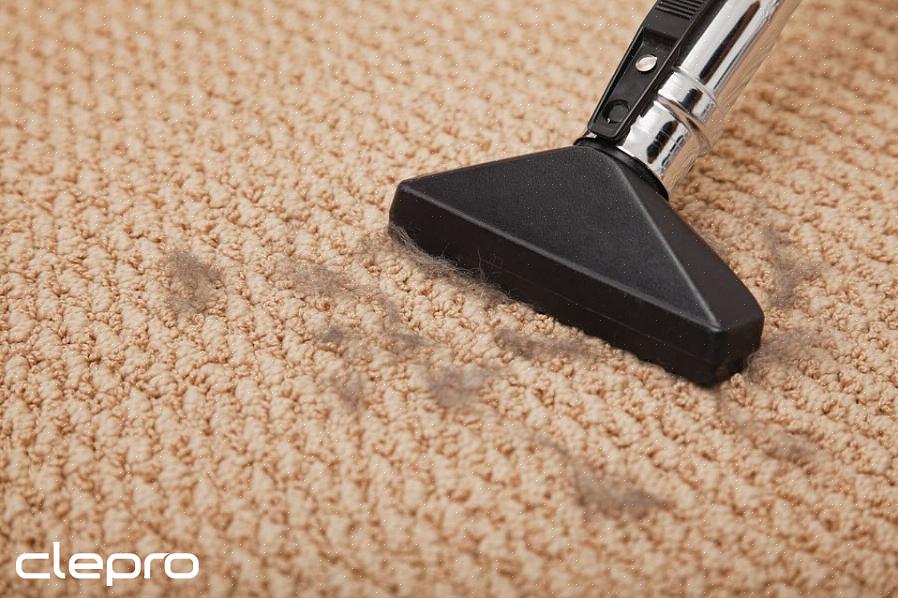 Conçue pour agiter les fibres du tapis pour aider à ameublir la terre profondément dans le poil