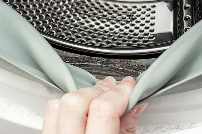 Les laveuses à chargement frontal sont de plus en plus populaires en Europe