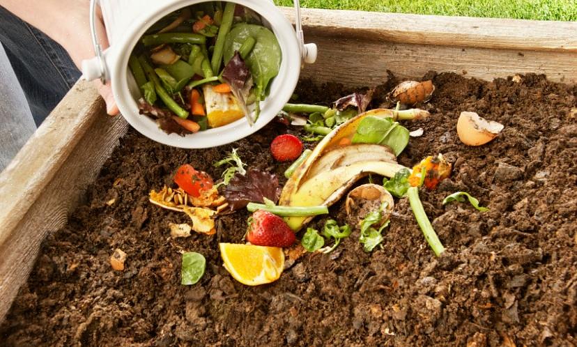 Le compost peut être acheté dans n'importe quel centre de jardinage