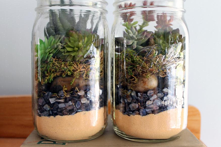 Les terrariums en pot Mason sont d'excellents cadeaux pour les enseignants