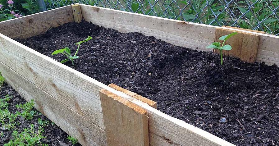 Voici des instructions pour construire votre propre jardin de plates-bandes surélevées en bois