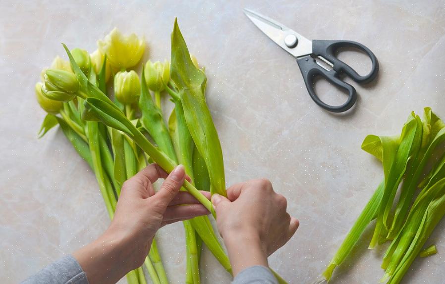 Vous pouvez toujours ressentir leurs contorsions comme des fleurs coupées