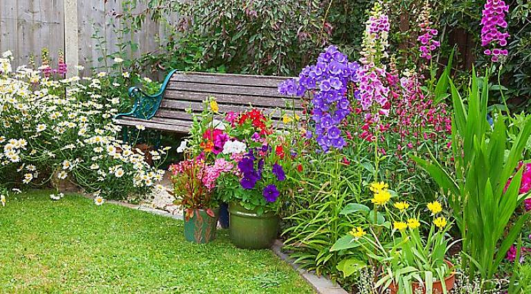 Puis continuez à remplir le sac de fleurs jusqu'à ce que le sol atteigne presque le haut