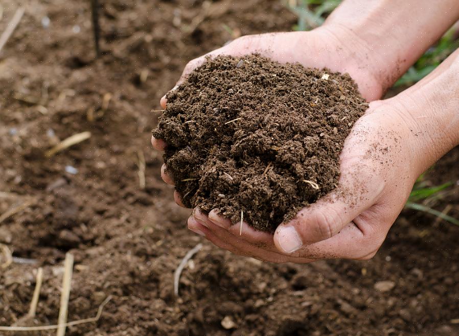 Les trois types de sol de base sont les sols argileux