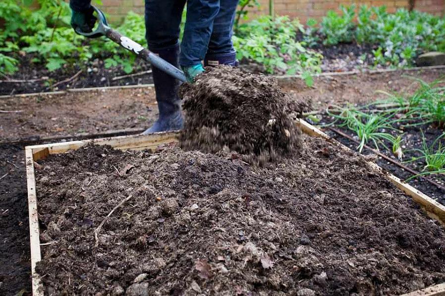 Le fumier animal est une matière organique souvent utilisée pour améliorer le sol du jardin