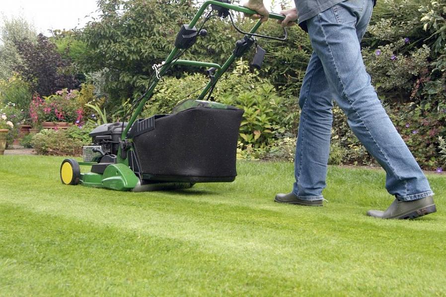 Il y a de nombreuses raisons pour lesquelles tondre de l'herbe mouillée est une mauvaise idée