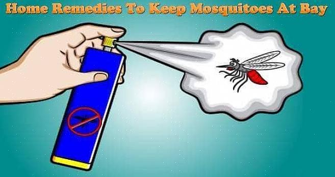 Comment contrôler ou tuer les larves de moustiques qui peuvent se cacher dans ces endroits