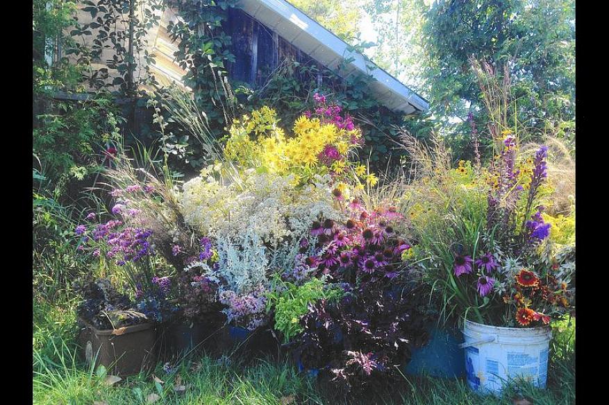 Apprenez à décomposer l'entretien d'un grand jardin de fleurs en tâches gérables