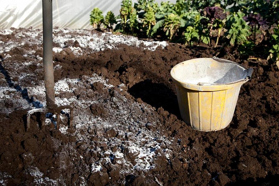 Il peut être creusé dans le sol autour de la base des plantes pour augmenter les niveaux de soufre