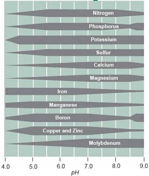 Le pH idéal du sol pour la plupart des plantes paysagères