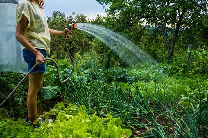 Rapide pour arroser en profondeur