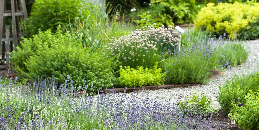 Est un moyen facile de profiter d'un jardin d'herbes parfumées