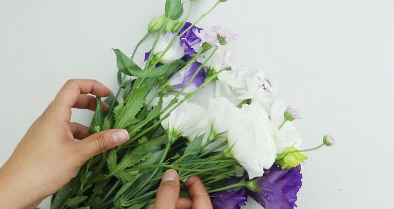 Les fleurs à forte teneur en eau