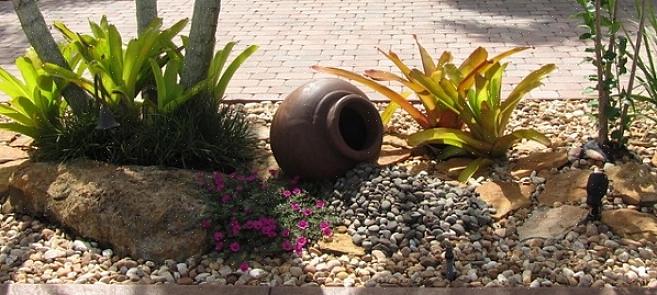 Disposez les plantes dans un design de jardin de rocaille pour qu'elles paraissent naturelles