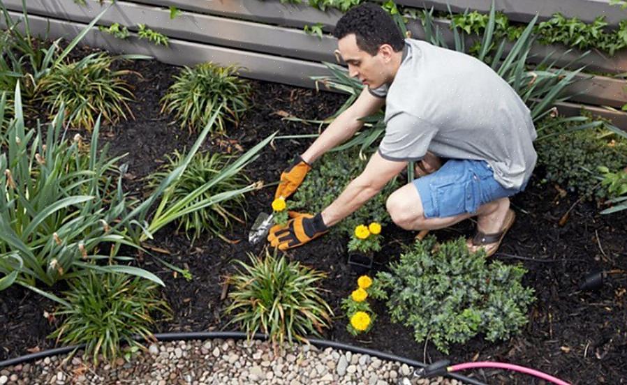 La première idée intelligente dans un projet de désherbage sans produits chimiques dans les jardins