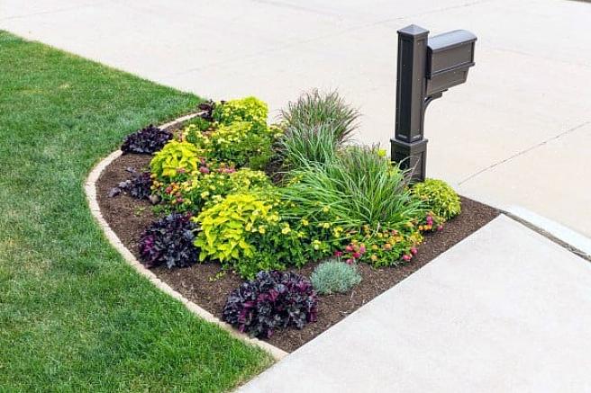 Les meilleures fleurs vivaces à planter autour des boîtes aux lettres au bord de la route ou sur les bandes