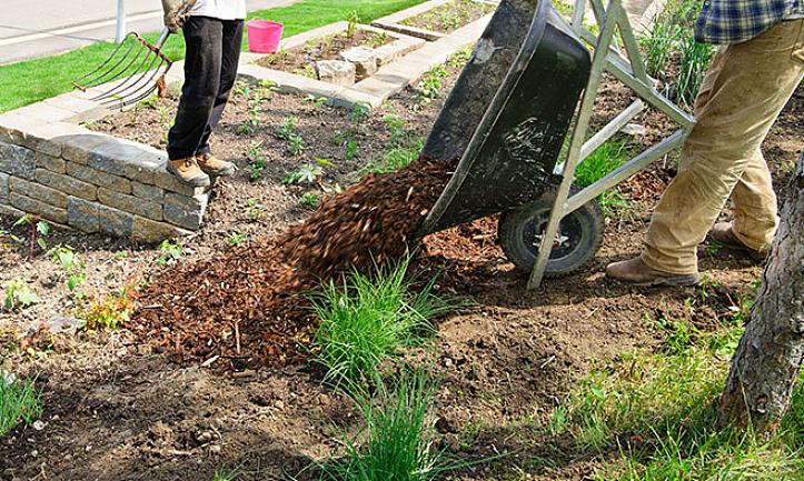 Plus facile aux paillis d'écorce pour couvrir de grandes surfaces