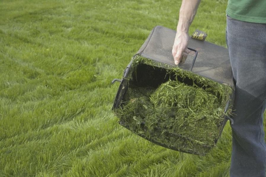 Un bon moyen de se passer de sac ou de ratisser l'herbe coupée est de tondre avec une tondeuse à mulching