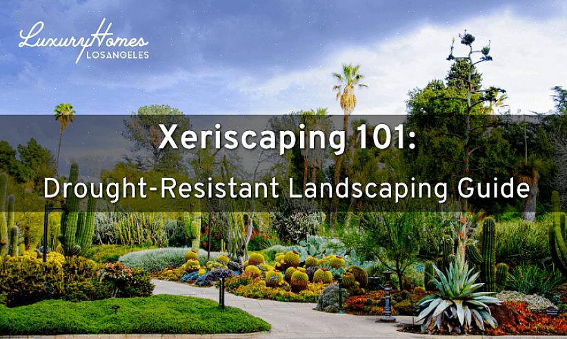 L'aménagement paysager xériscape signifie simplement regrouper les plantes ayant des besoins d'arrosage