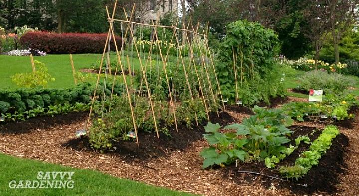 Les jardins potagers ne doivent plus être cachés de la vue